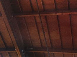 Interior Ceiling